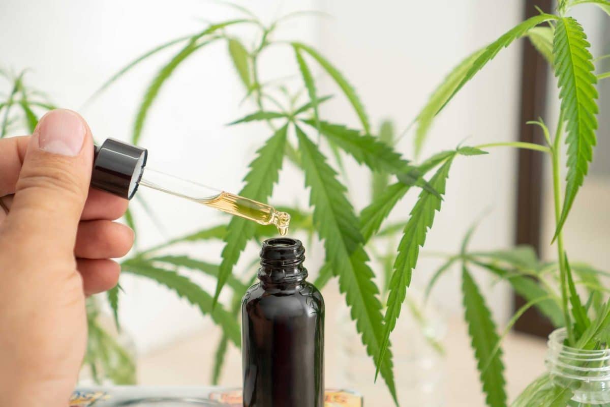 Prendre Du CBD Pour Dormir : Quand Le Faire